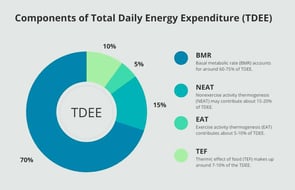 a pie chart of the total energy of a daily routine
