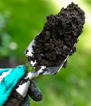 a person holding a shovel with dirt on it