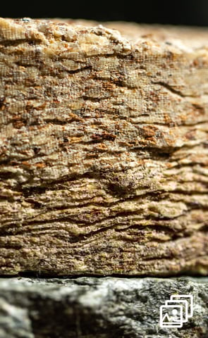 a stack of nuts