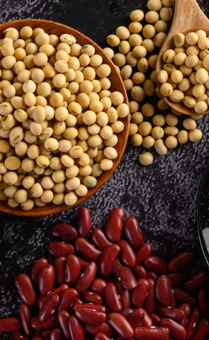 a variety of beans and beans in bowls