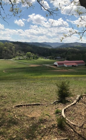 tri-cities riding arena horse boarding elizabethton tennnessee