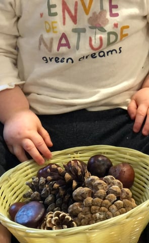 enfant, marrons et pommes de pin