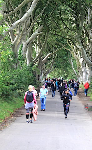 The Dark Hedges, a filming location in the Game of Thrones and Transformers