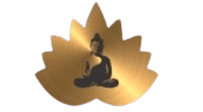 Spa Zone logo