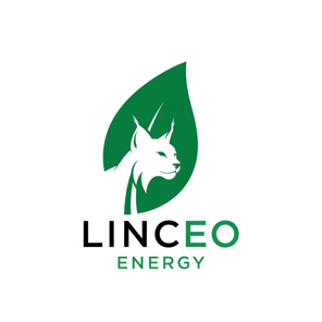 Linceo Energy logo