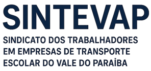 Sintevap logo