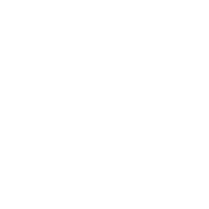 Brothers Car Detailing logo
