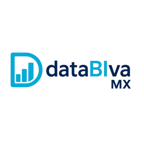 DataBiVa logo