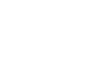 Faz Tudo Bots logo