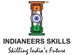 INDIANEERS MEDIA PRIVATE LIMITED logo