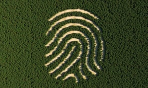Huella digital en un bosque refiriéndose al impacto ambiental del humano
