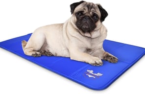 Arf Pets Self-Cooling Dog Mat