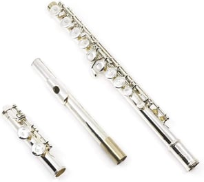 Gemeinhardt 2SP Flute