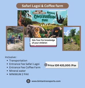Safari Lagoi & Coffee farm