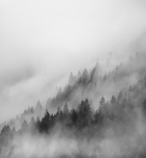photography / james murray / triol / schlick2000 / events / social media / innsbruck / portraits