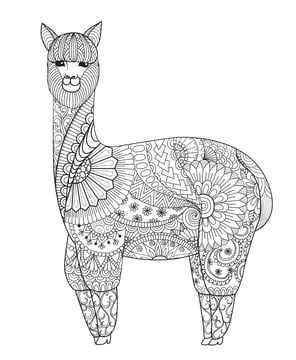 Mandala kleurplaat van een lama