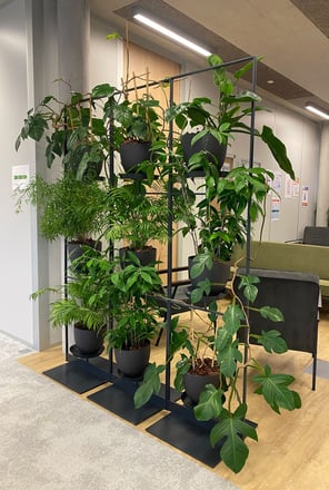 espace vert d'intérieur