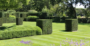 Clean cut lawn with topiary