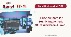 IT Consultants
