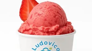 Helado artesanal de fresa natural en tarrina Ludovico con rodaja de fresa fresca