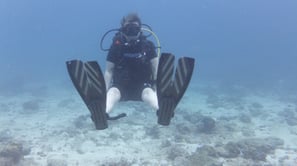 Diving on Havelock and Neil Islands, Andaman and Nicobar Islands