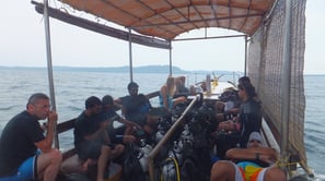 Diving on Havelock and Neil Islands, Andaman and Nicobar Islands