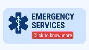 Find ambulance and blood bank services in karnal