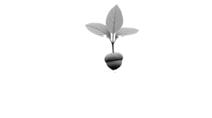 Oakwood Finance Solutions Logo - Helping businesses from the start