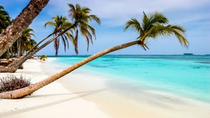 Paisagem paradisíaca nas Ilhas Cayman com águas cristalinas e areia branca