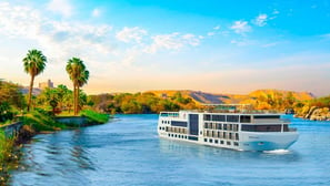 One-night Nile Cruise to Aswan