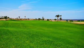 Golfing at the Madinat Makadi Golf Resort