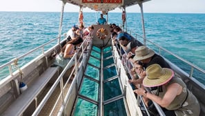 Coral Reef Glass-Bottom Boat Tour