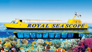 Royal Seascope Submarine Cruise