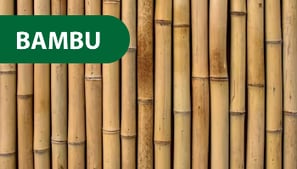 Bambu