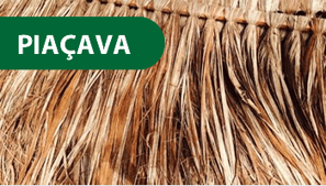 Piaçava