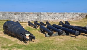 11 cannons with a little green companion in front of one