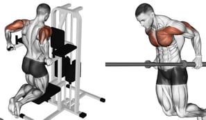 triceps fundo