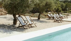 chairs in tree shade beside pool