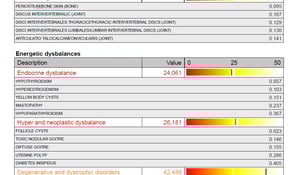 scan report