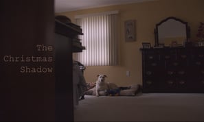 Lucas Arruda The Christmas Shadow Short Film