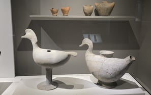 Bird shaped vessels