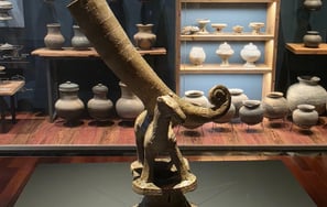 Gaya horn cup