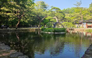 Pond view