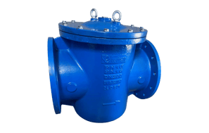 Basket type strainer