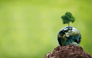 Integrix CSR initiatives – engaging in charity, community support, and environmental responsibility
