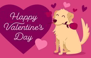 Amazon Valentines Day Gift Card