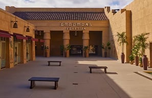 Netflix Egyptian Theatre Hollywood Movie