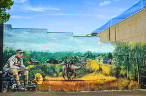 Street art by Melbourne's Murals in Frankston