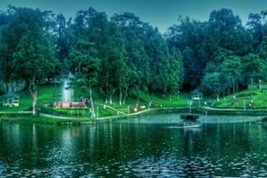 a lake with a boat in the water surrounded by trees