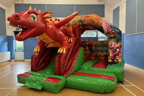 3D Dragon Bouncy Castle Jumpin Janners - Bouncy Castle Hire Plymouth